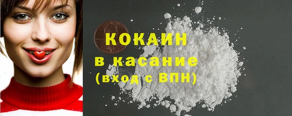 стаф Дмитров