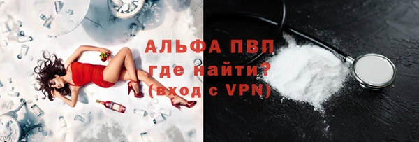 прущие грибы Дмитровск