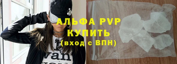 прущие грибы Дмитровск