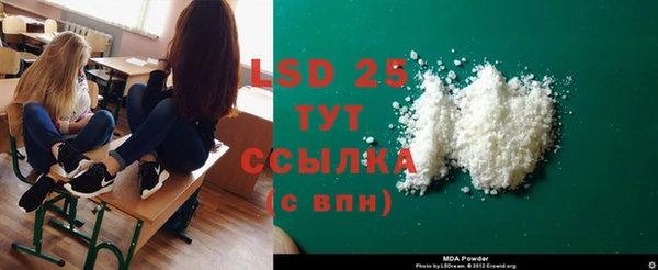 прущие грибы Дмитровск