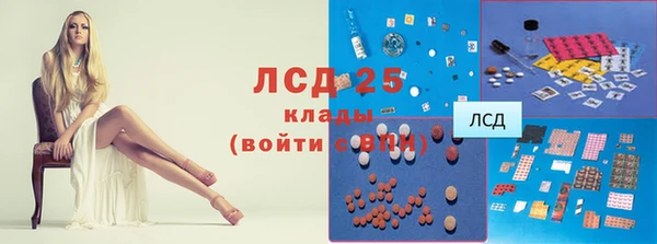 прущие грибы Дмитровск