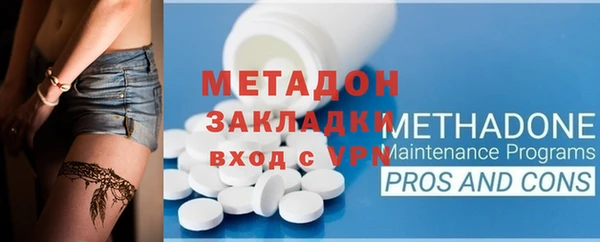 прущие грибы Дмитровск