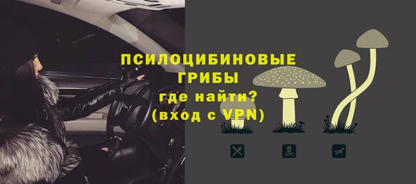 стаф Дмитров