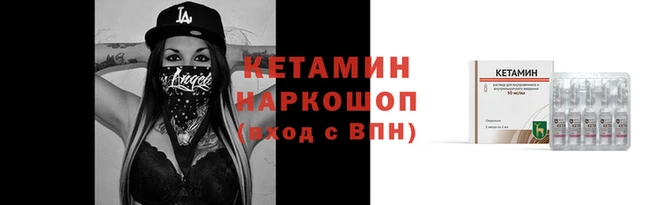 стаф Дмитров
