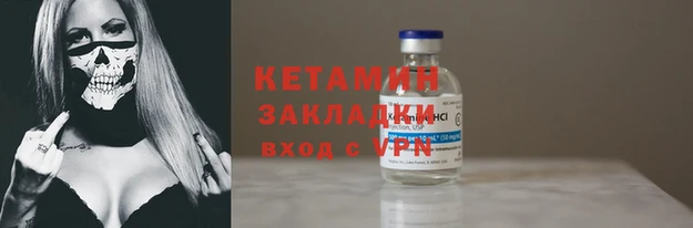 прущие грибы Дмитровск