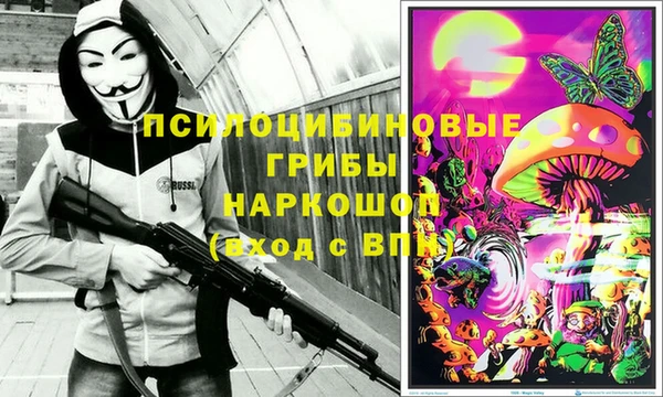 прущие грибы Дмитровск