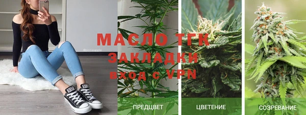 стаф Дмитров
