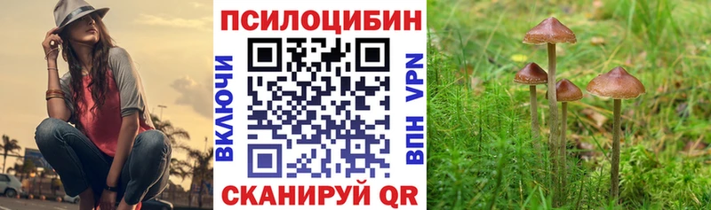 Купить  Камешково  Псилоцибиновые грибы MAGIC MUSHROOMS 
